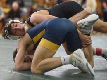 article image - Dom Canali